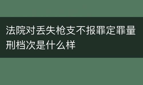 法院对丢失枪支不报罪定罪量刑档次是什么样