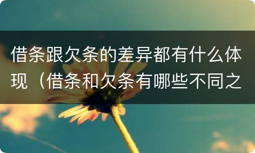 借条跟欠条的差异都有什么体现（借条和欠条有哪些不同之处）