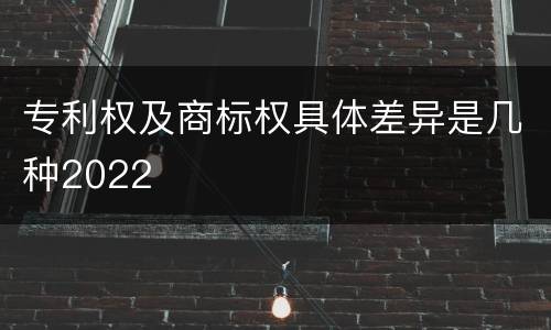 专利权及商标权具体差异是几种2022