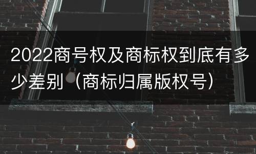 2022商号权及商标权到底有多少差别（商标归属版权号）
