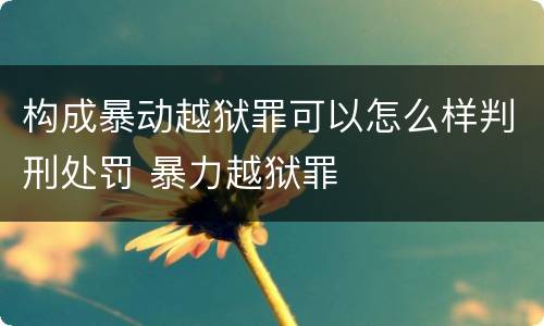 构成暴动越狱罪可以怎么样判刑处罚 暴力越狱罪