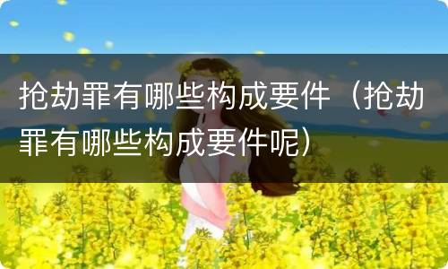 抢劫罪有哪些构成要件（抢劫罪有哪些构成要件呢）