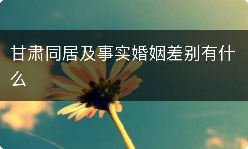 甘肃同居及事实婚姻差别有什么