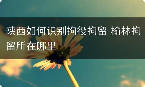 陕西如何识别拘役拘留 榆林拘留所在哪里