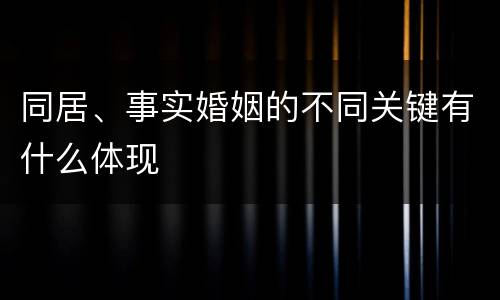 同居、事实婚姻的不同关键有什么体现