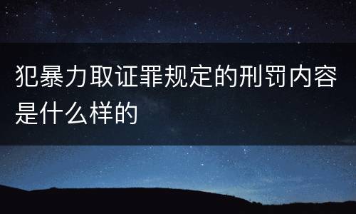 犯暴力取证罪规定的刑罚内容是什么样的