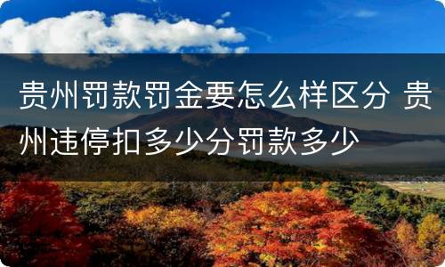 贵州罚款罚金要怎么样区分 贵州违停扣多少分罚款多少