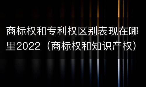 商标权和专利权区别表现在哪里2022（商标权和知识产权）