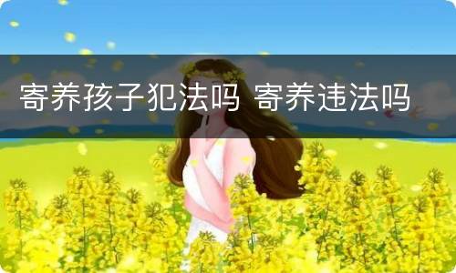 寄养孩子犯法吗 寄养违法吗
