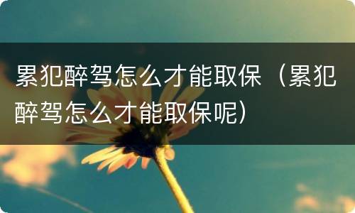 累犯醉驾怎么才能取保（累犯醉驾怎么才能取保呢）