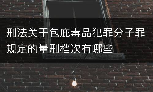 刑法关于包庇毒品犯罪分子罪规定的量刑档次有哪些