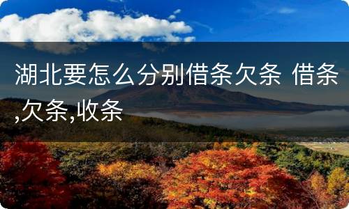 湖北要怎么分别借条欠条 借条,欠条,收条