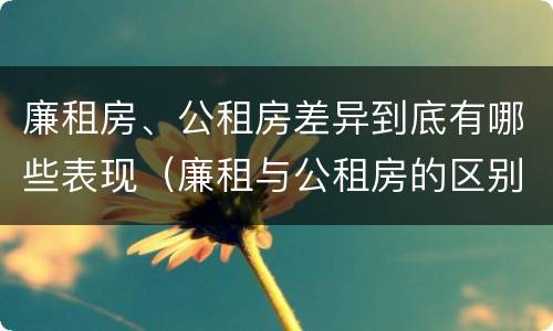 廉租房、公租房差异到底有哪些表现（廉租与公租房的区别）