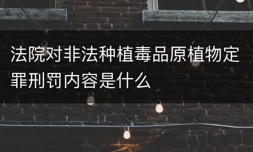 法院对非法种植毒品原植物定罪刑罚内容是什么