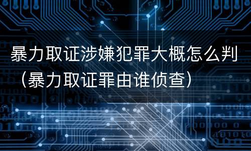 暴力取证涉嫌犯罪大概怎么判（暴力取证罪由谁侦查）