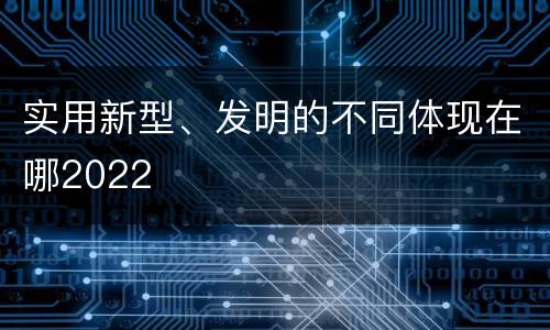 实用新型、发明的不同体现在哪2022