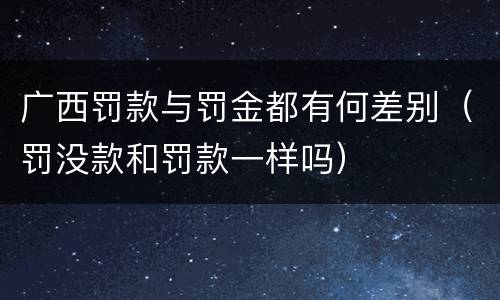 广西罚款与罚金都有何差别(罚没款和罚款一样吗)
