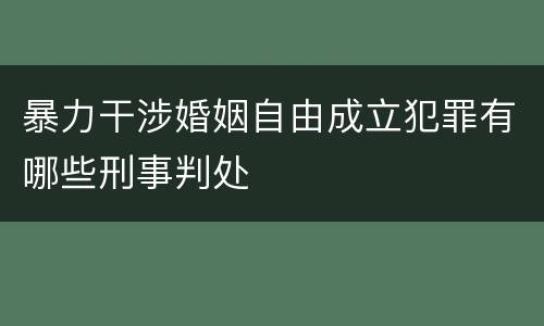 暴力干涉婚姻自由成立犯罪有哪些刑事判处