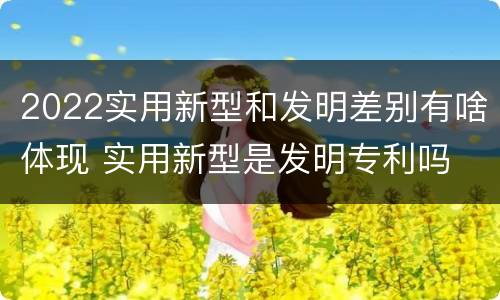 2022实用新型和发明差别有啥体现 实用新型是发明专利吗