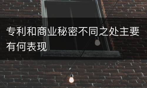 专利和商业秘密不同之处主要有何表现
