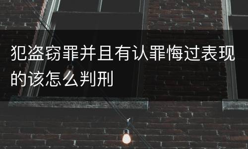 犯盗窃罪并且有认罪悔过表现的该怎么判刑