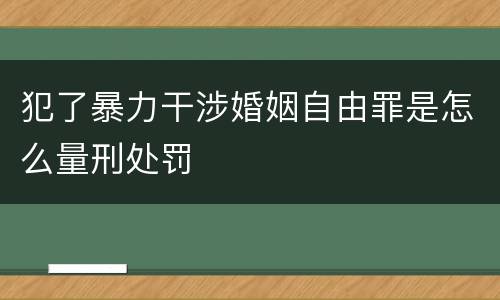 犯了暴力干涉婚姻自由罪是怎么量刑处罚