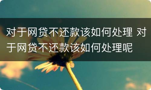 对于网贷不还款该如何处理 对于网贷不还款该如何处理呢