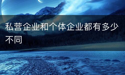 私营企业和个体企业都有多少不同