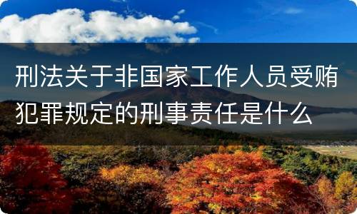 刑法关于非国家工作人员受贿犯罪规定的刑事责任是什么