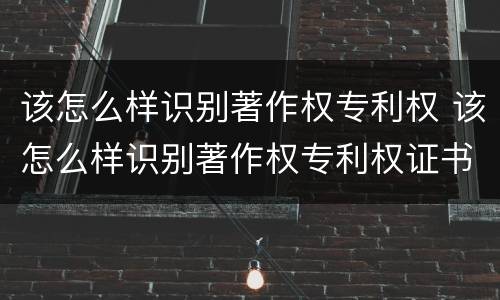 该怎么样识别著作权专利权 该怎么样识别著作权专利权证书