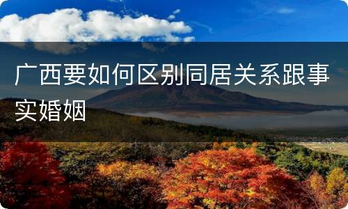广西要如何区别同居关系跟事实婚姻
