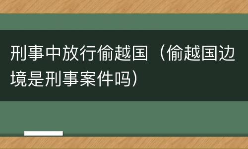 刑事中放行偷越国（偷越国边境是刑事案件吗）