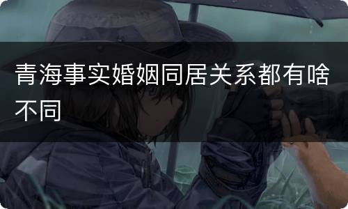 青海事实婚姻同居关系都有啥不同