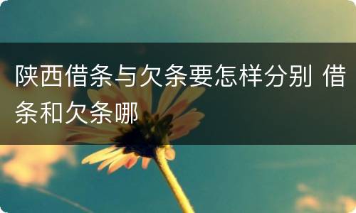 陕西借条与欠条要怎样分别 借条和欠条哪