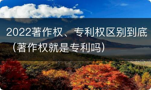 2022著作权、专利权区别到底（著作权就是专利吗）