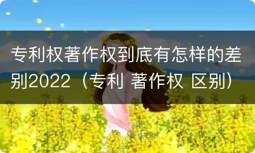 专利权著作权到底有怎样的差别2022（专利 著作权 区别）