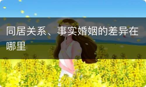 同居关系、事实婚姻的差异在哪里