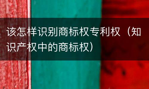 该怎样识别商标权专利权（知识产权中的商标权）