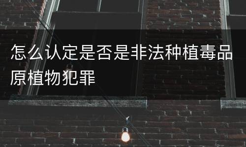 怎么认定是否是非法种植毒品原植物犯罪