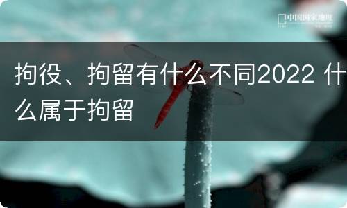 拘役、拘留有什么不同2022 什么属于拘留