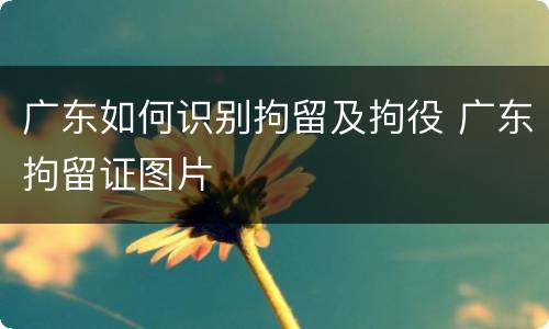 广东如何识别拘留及拘役 广东拘留证图片