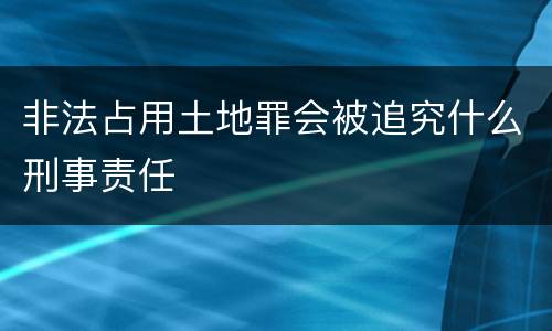 非法占用土地罪会被追究什么刑事责任
