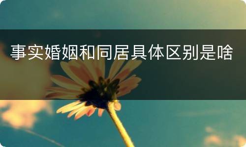 事实婚姻和同居具体区别是啥