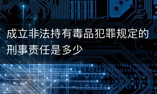 成立非法持有毒品犯罪规定的刑事责任是多少