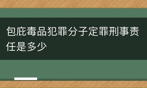 包庇毒品犯罪分子定罪刑事责任是多少
