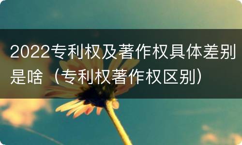 2022专利权及著作权具体差别是啥（专利权著作权区别）
