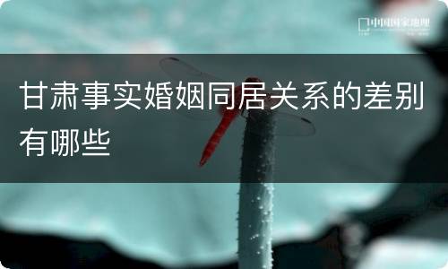 甘肃事实婚姻同居关系的差别有哪些