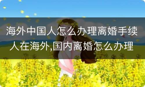 海外中国人怎么办理离婚手续 人在海外,国内离婚怎么办理