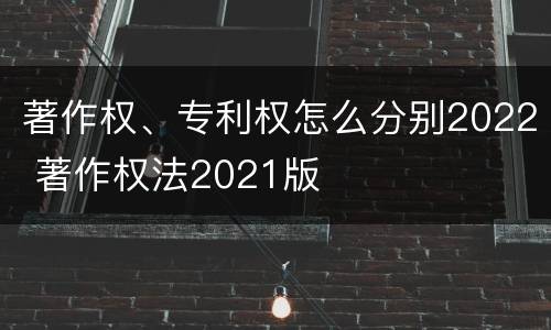 著作权、专利权怎么分别2022 著作权法2021版