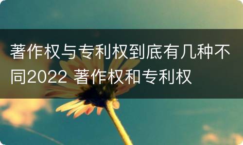 著作权与专利权到底有几种不同2022 著作权和专利权